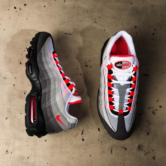 Air max 95 dark betroot